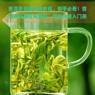 普洱茶直播视频教程，新手必看！普洱茶直播视频教程，带你快速入门茶叶世界