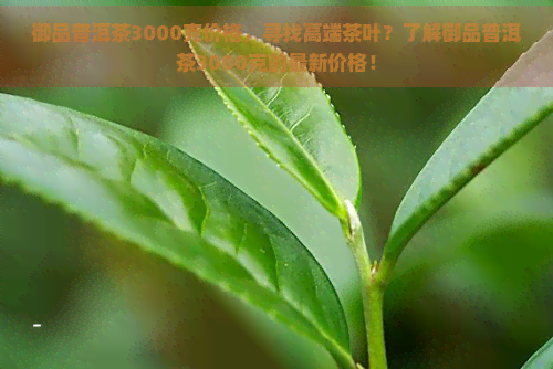 御品普洱茶3000克价格，寻找高端茶叶？了解御品普洱茶3000克的最新价格！