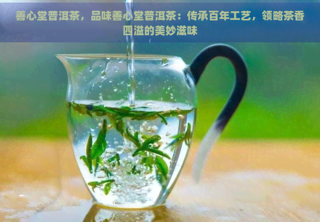 善心堂普洱茶，品味善心堂普洱茶：传承百年工艺，领略茶香四溢的美妙滋味