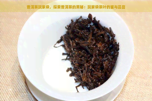 普洱茶玩家级，探索普洱茶的奥秘：玩家级茶叶的鉴与品尝