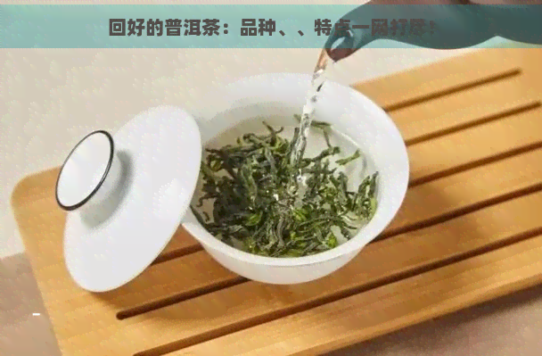 回好的普洱茶：品种、、特点一网打尽！