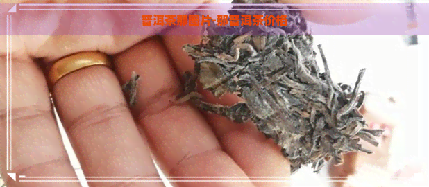 普洱茶那图片-那普洱茶价格