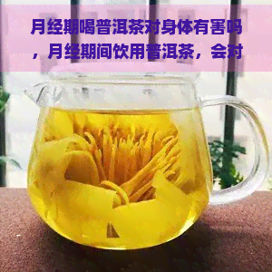 月经期喝普洱茶对身体有害吗，月经期间饮用普洱茶，会对身体造成伤害吗？