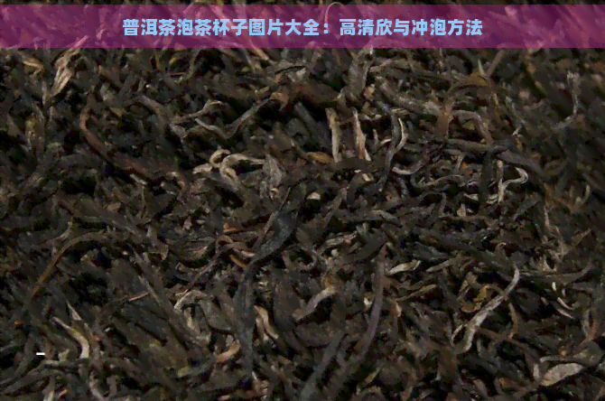 普洱茶泡茶杯子图片大全：高清欣与冲泡方法