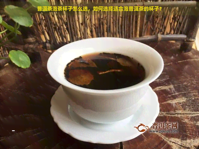 普洱茶泡茶杯子怎么选，如何选择适合泡普洱茶的杯子？