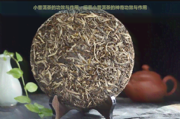 小普洱茶的功效与作用，探索小普洱茶的神奇功效与作用