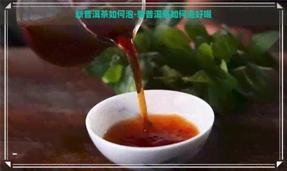 新普洱茶如何泡-新普洱茶如何泡好喝