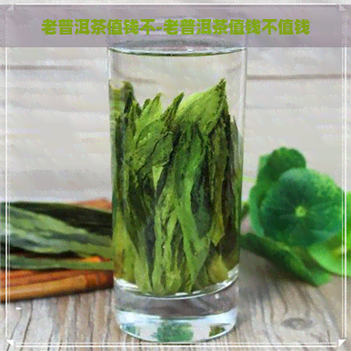 老普洱茶值钱不-老普洱茶值钱不值钱