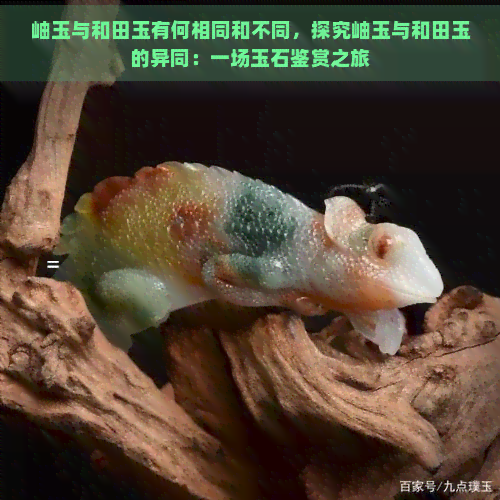 岫玉与和田玉有何相同和不同，探究岫玉与和田玉的异同：一场玉石鉴赏之旅