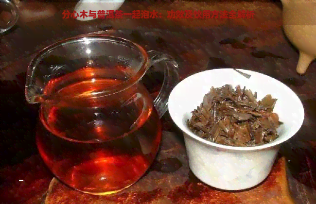 分心木与普洱茶一起泡水：功效及饮用方法全解析