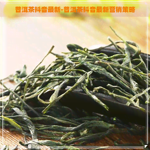 普洱茶抖音最新-普洱茶抖音最新营销策略