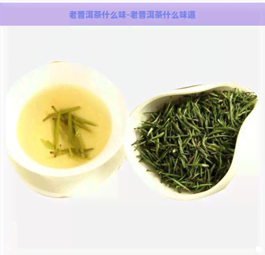 老普洱茶什么味-老普洱茶什么味道