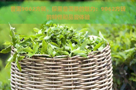 普洱9062方砖，探索普洱茶的魅力：9062方砖的特性和品尝体验