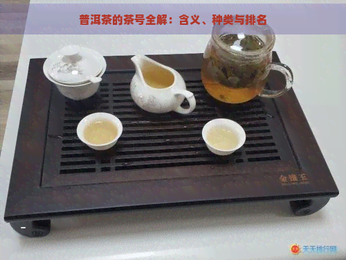 普洱茶的茶号全解：含义、种类与排名