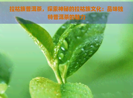 拉祜族普洱茶，探索神秘的拉祜族文化：品味独特普洱茶的魅力