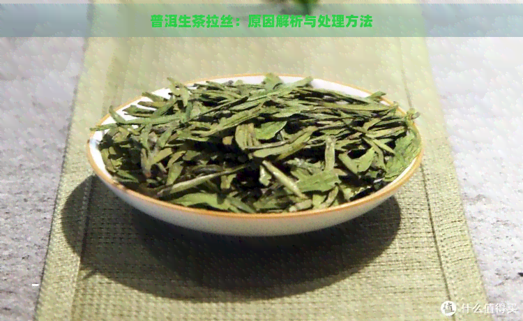 普洱生茶拉丝：原因解析与处理方法