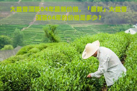 大益普洱茶04年最新价格，「最新」大益普洱茶04年的价格是多少？