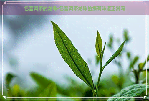 包普洱茶的龙珠-包普洱茶龙珠的纸有味道正常吗