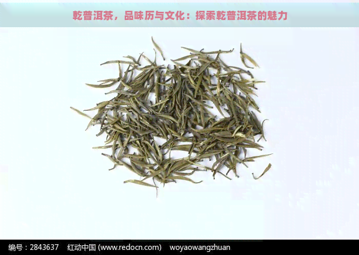 乾普洱茶，品味历与文化：探索乾普洱茶的魅力