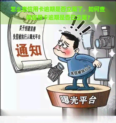 怎么查信用卡逾期是否立案了，如何查询信用卡逾期是否已立案？