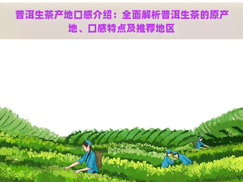 普洱生茶产地口感介绍：全面解析普洱生茶的原产地、口感特点及推荐地区