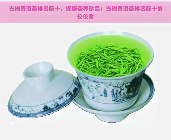 古树普洱茶排名前十，探秘茶界珍品：古树普洱茶排名前十的佼佼者