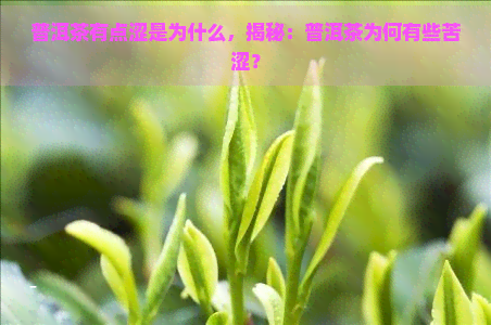 普洱茶有点涩是为什么，揭秘：普洱茶为何有些苦涩？