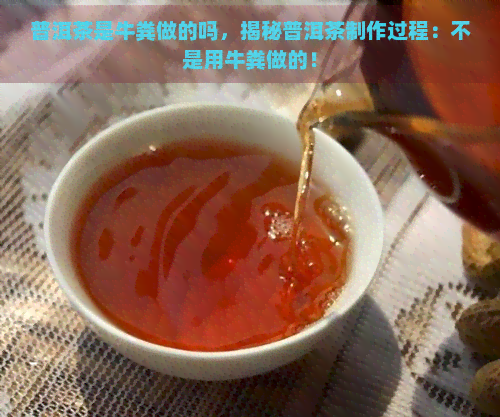 普洱茶是牛粪做的吗，揭秘普洱茶制作过程：不是用牛粪做的！