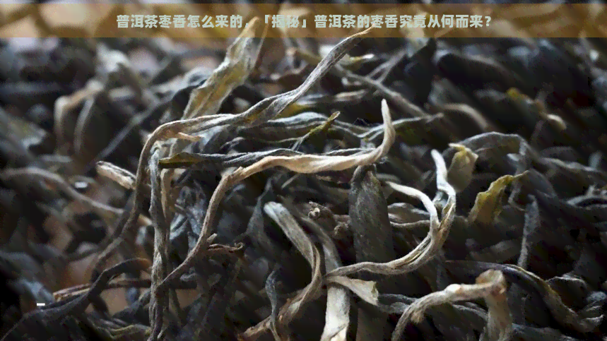 普洱茶枣香怎么来的，「揭秘」普洱茶的枣香究竟从何而来？