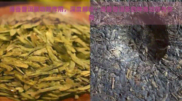 浅香普洱茶功效作用，深度解析：浅香普洱茶的神奇功效与作用