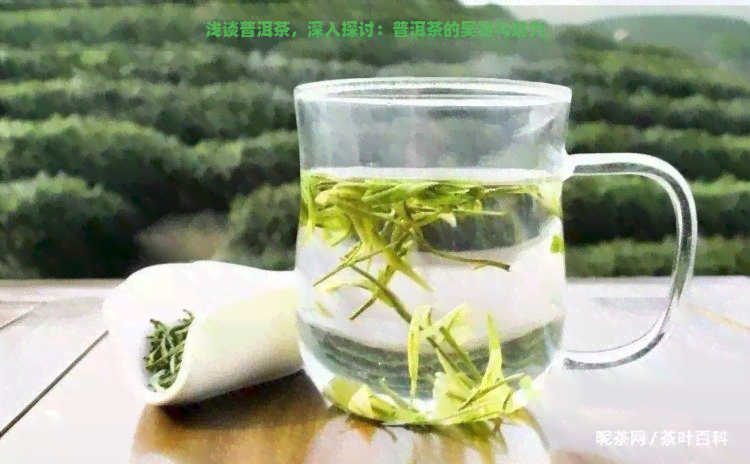 浅谈普洱茶，深入探讨：普洱茶的奥秘与魅力