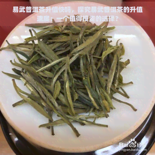 易武普洱茶升值快吗，探究易武普洱茶的升值速度：一个值得投资的选择？