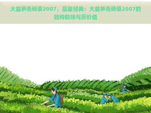 大益笋壳砖茶2007，品鉴经典：大益笋壳砖茶2007的独特韵味与历价值