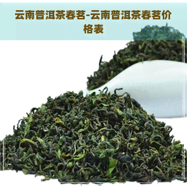 云南普洱茶春茗-云南普洱茶春茗价格表