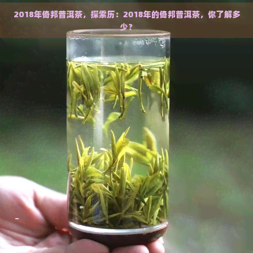 2018年倚邦普洱茶，探索历：2018年的倚邦普洱茶，你了解多少？