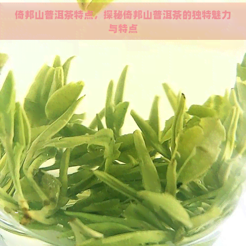 倚邦山普洱茶特点，探秘倚邦山普洱茶的独特魅力与特点