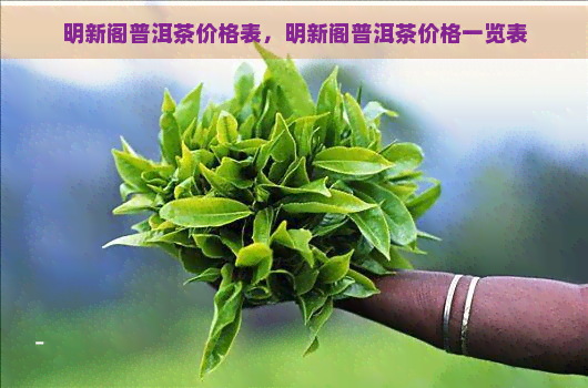 明新阁普洱茶价格表，明新阁普洱茶价格一览表