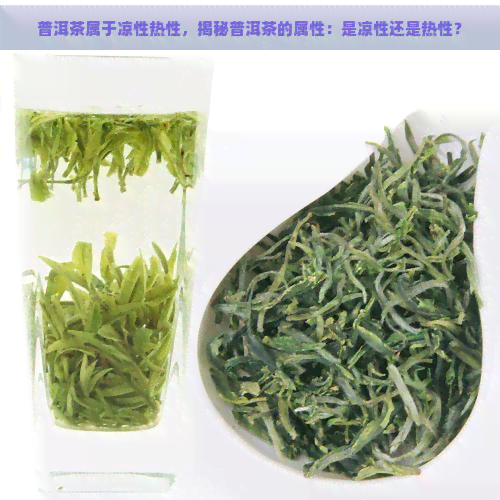 普洱茶属于凉性热性，揭秘普洱茶的属性：是凉性还是热性？