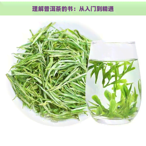 理解普洱茶的书：从入门到精通