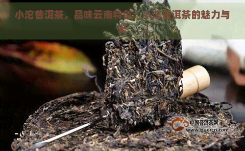 小沱普洱茶，品味云南特色：小沱普洱茶的魅力与鉴