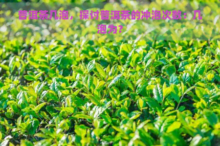 普洱茶几泡，探讨普洱茶的冲泡次数：几泡为？