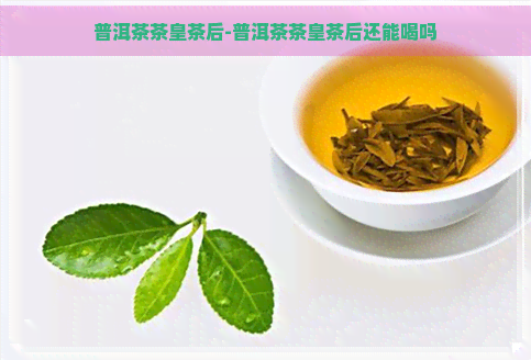 普洱茶茶皇茶后-普洱茶茶皇茶后还能喝吗