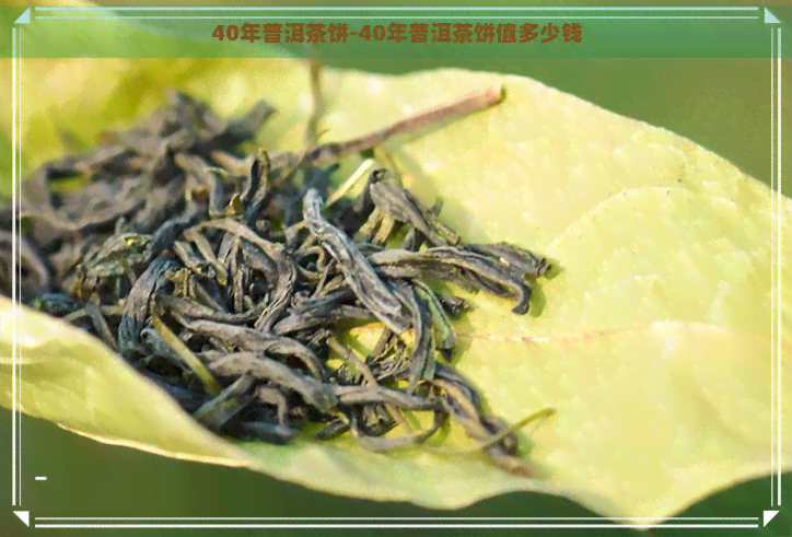 40年普洱茶饼-40年普洱茶饼值多少钱