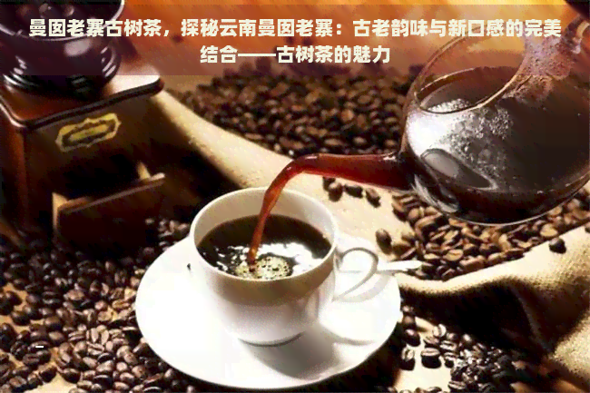 曼囡老寨古树茶，探秘云南曼囡老寨：古老韵味与新口感的完美结合——古树茶的魅力