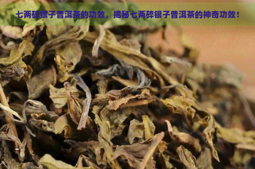 七两碎银子普洱茶的功效，揭秘七两碎银子普洱茶的神奇功效！