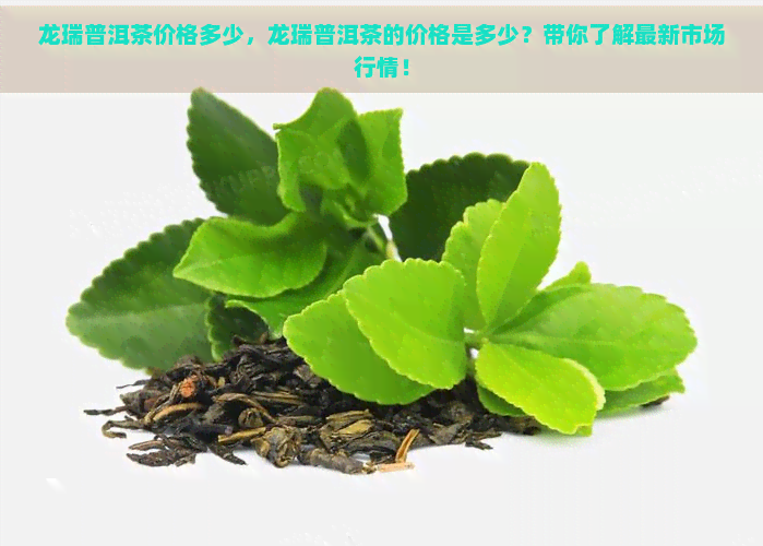 龙瑞普洱茶价格多少，龙瑞普洱茶的价格是多少？带你了解最新市场行情！