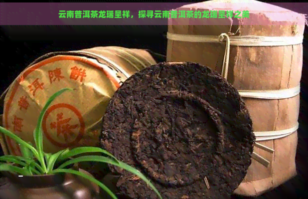 云南普洱茶龙瑞呈祥，探寻云南普洱茶的龙瑞呈祥之美