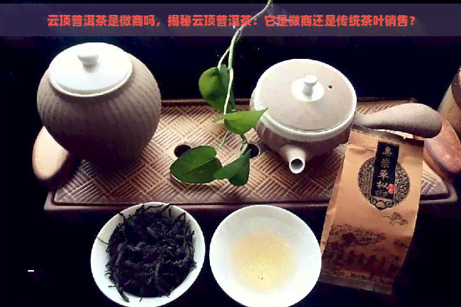 云顶普洱茶是微商吗，揭秘云顶普洱茶：它是微商还是传统茶叶销售？