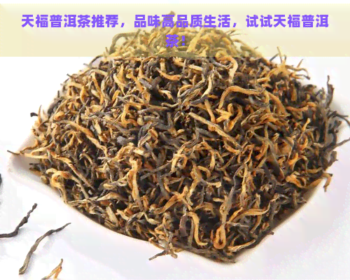 天福普洱茶推荐，品味高品质生活，试试天福普洱茶！