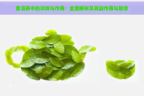 普洱茶中的功效与作用：全面解析及其副作用与禁忌